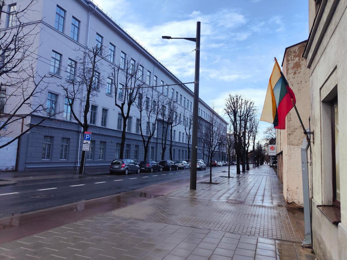 Owl Jazz Apartments - Luxury Apartments In The Heart Of The City Каунас Екстер'єр фото